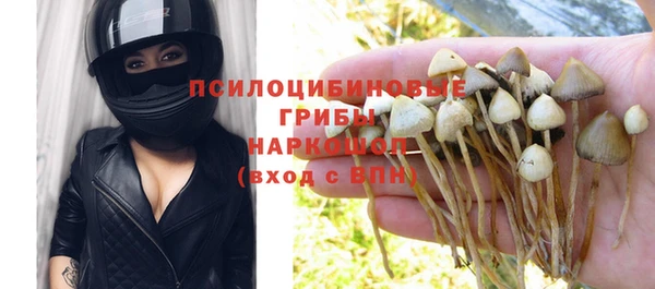 гидра Балахна