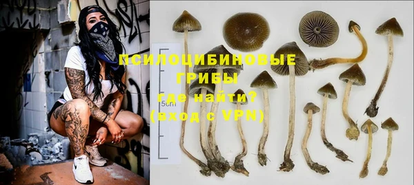 стафф Аркадак