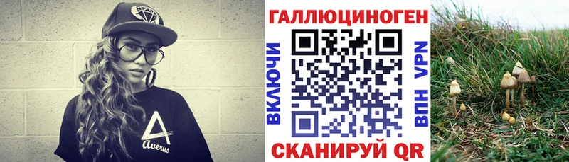 Галлюциногенные грибы ЛСД  Купить  Сланцы 